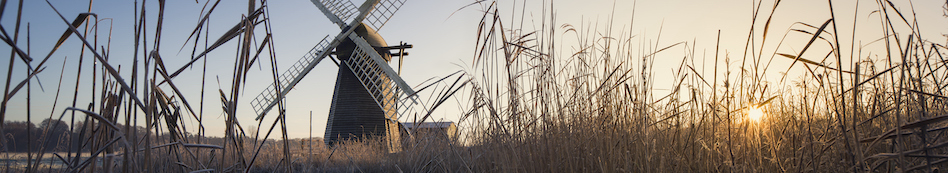 iStock-812759860, Windmill panorama
